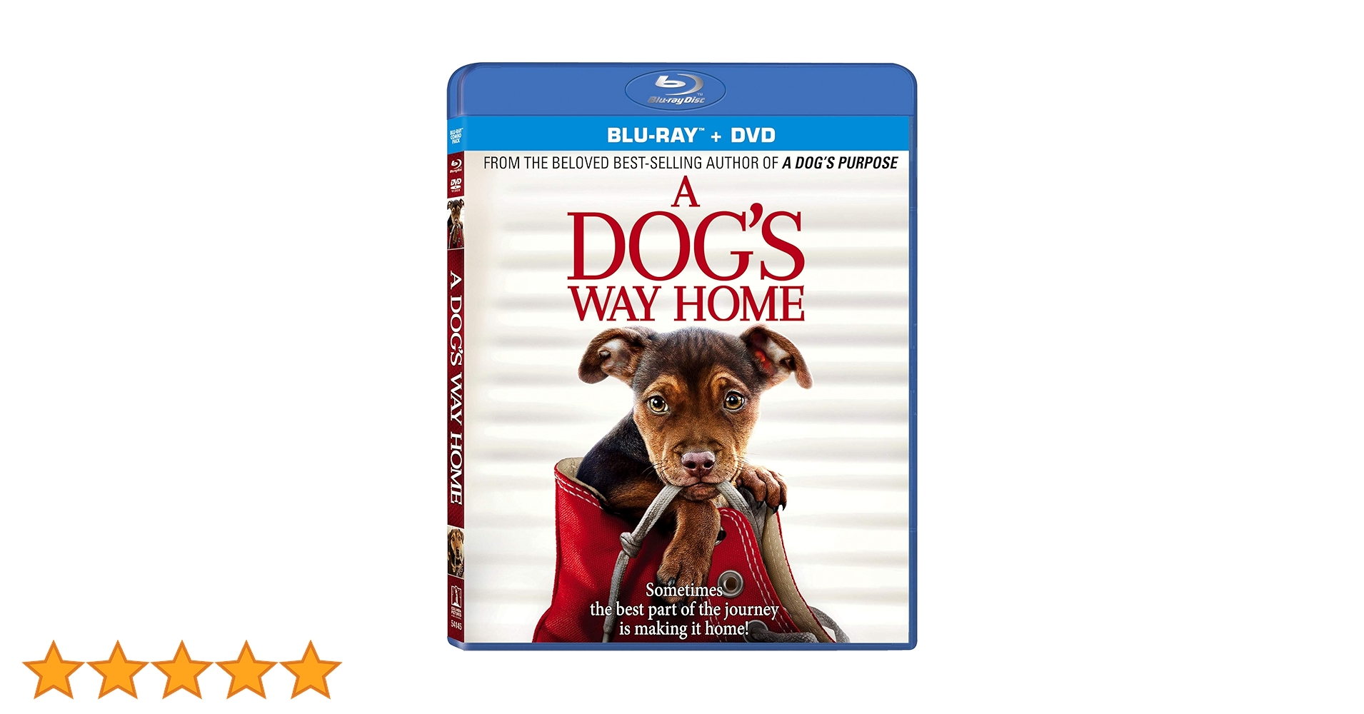 A Dog's Way Home : Bryce Dallas Howard, Ashley Judd, Barry